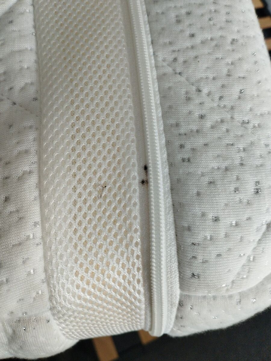 Bettwanze-auf-der-haut-bettwanzenbiss-Seedorf (BE).jpg