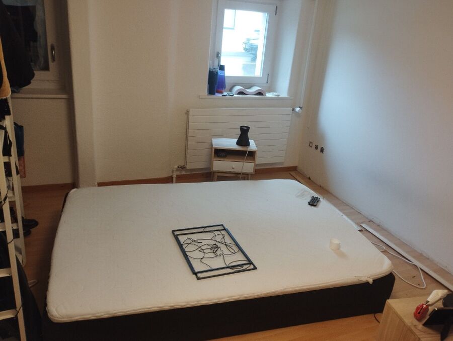 Bettwanze-auf-der-haut-bettwanzenbiss-Wohlen bei Bern.jpg