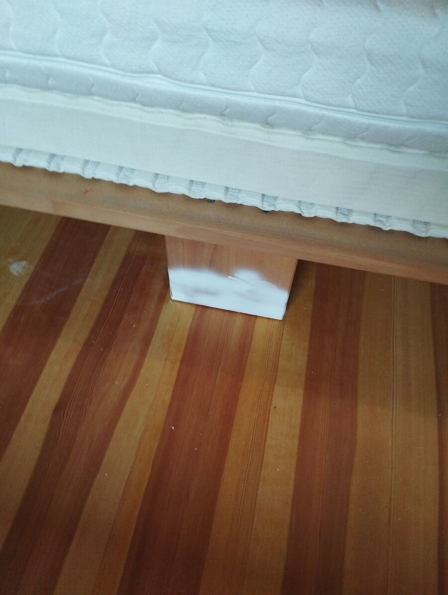 Bettwanzen-Bettwanzenstich-Bettwanzenbiss-Benken (SG).jpg