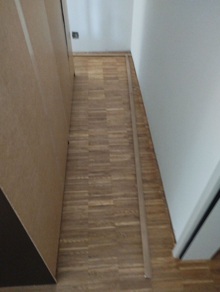 Bettwanze-auf-der-haut-bettwanzenbiss-Bremgarten bei Bern.jpg