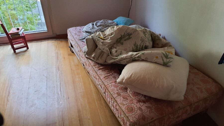 Bettwanzen-Bettwanzenstich-Bettwanzenbiss-Oberwil (BL).jpg