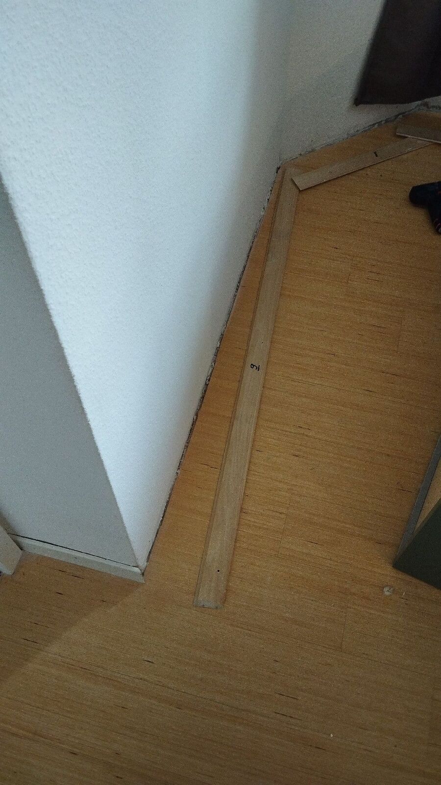 Bettwanze-auf-der-haut-bettwanzenbiss-Roggwil (TG).jpg