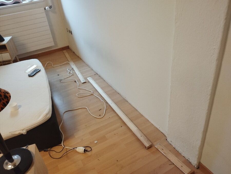 Bettwanze-auf-der-haut-bettwanzenbiss-Ellikon an der Thur.jpg