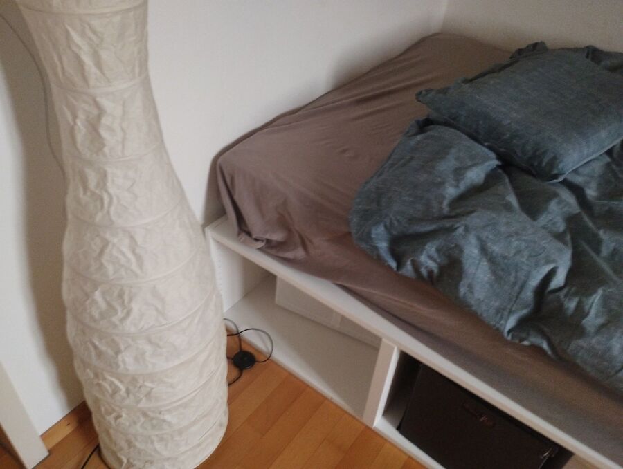 Bettwanze-auf-der-haut-bettwanzenbiss-Erlenbach im Simmental.jpg