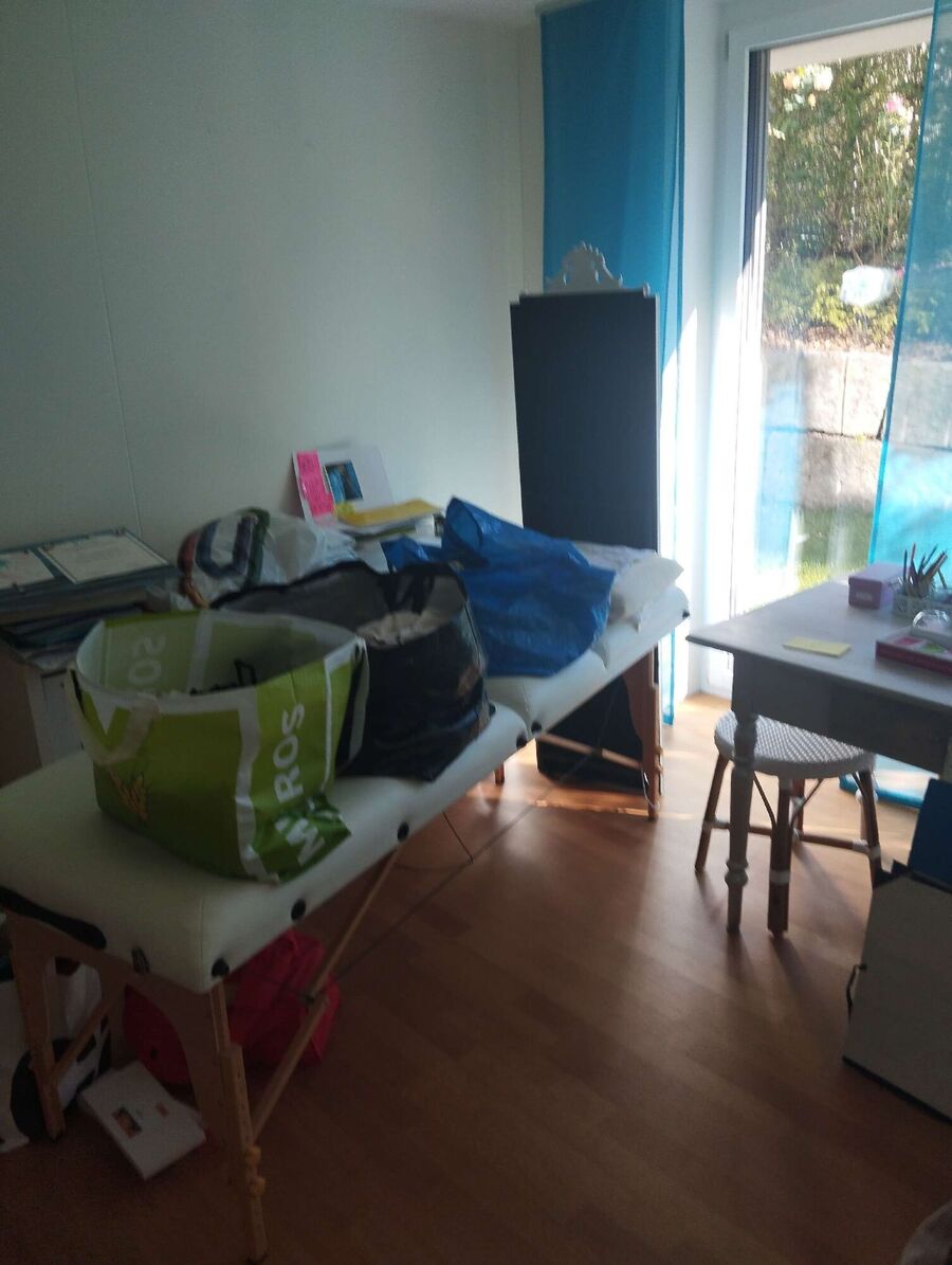 Bettwanzen-Experten-Hasle bei Burgdorf-Bettwanzen-entfernen.jpg