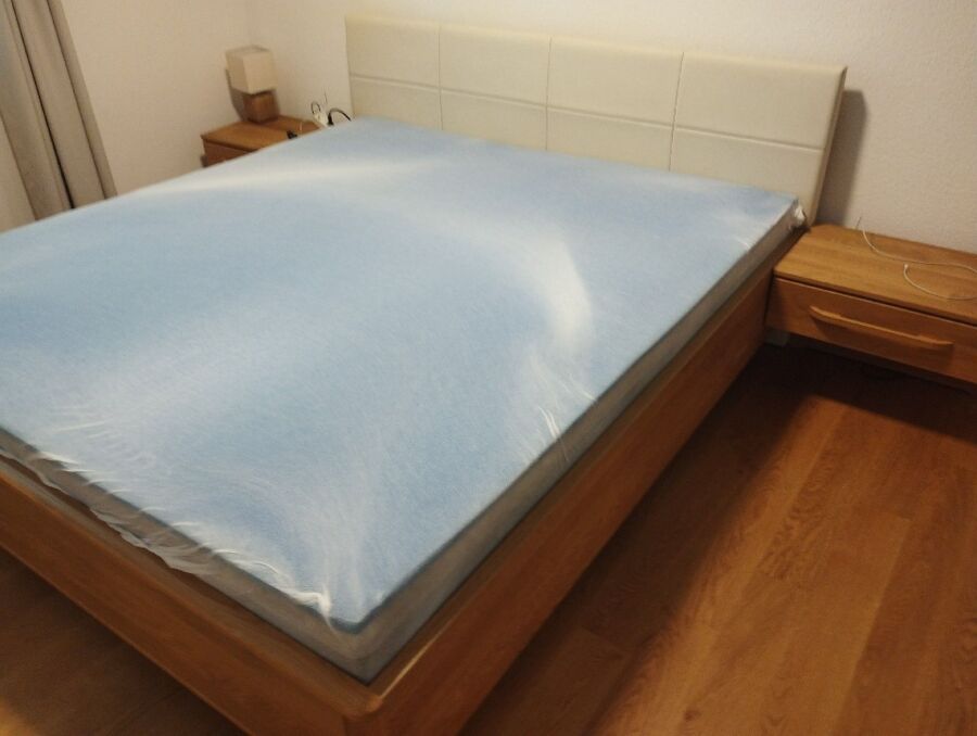 Bettwanzen-Bettwanzenstich-Bettwanzenbiss-Balm bei Günsberg.jpg