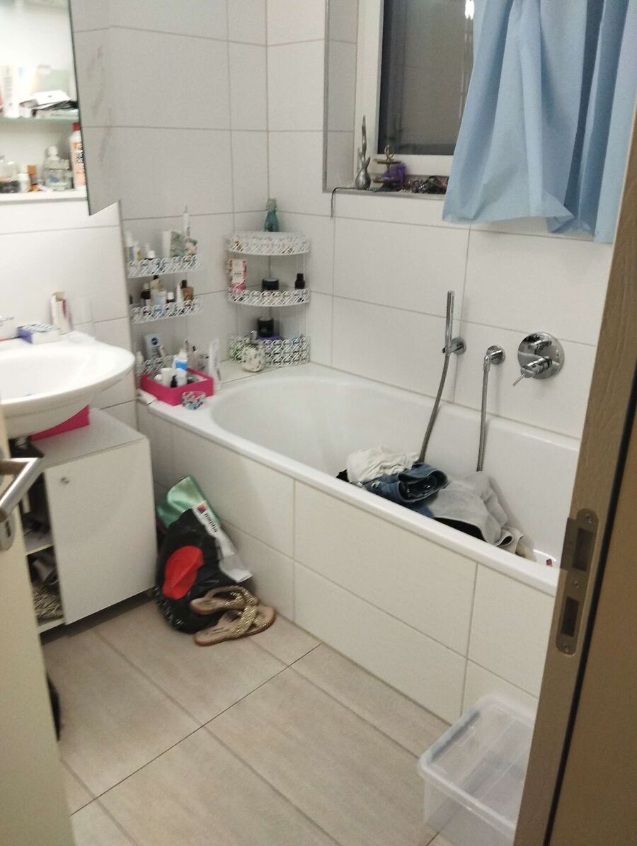 Bettwanzen-Experten-Ecublens (VD)-Bettwanzen-entfernen.jpg