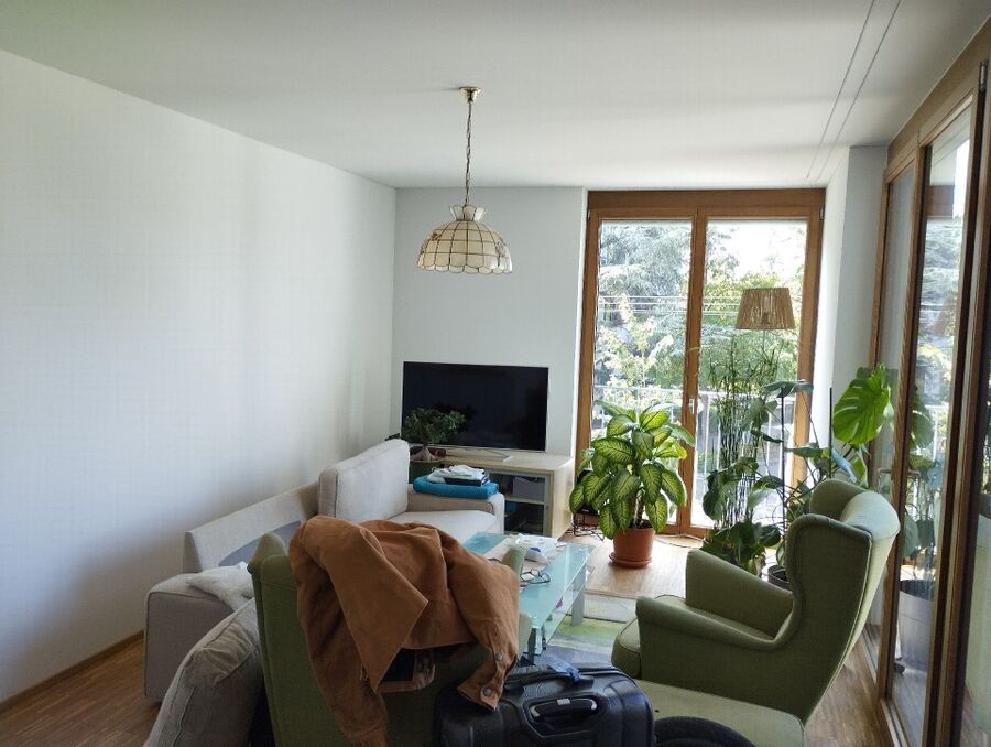 Bettwanzen-Experten-Forel (Lavaux)-Bettwanzen-entfernen.jpg