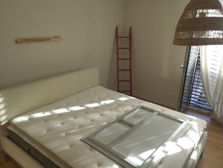 Bettwanzen-Experten-Stein (AG)-Bettwanzen-entfernen.jpg