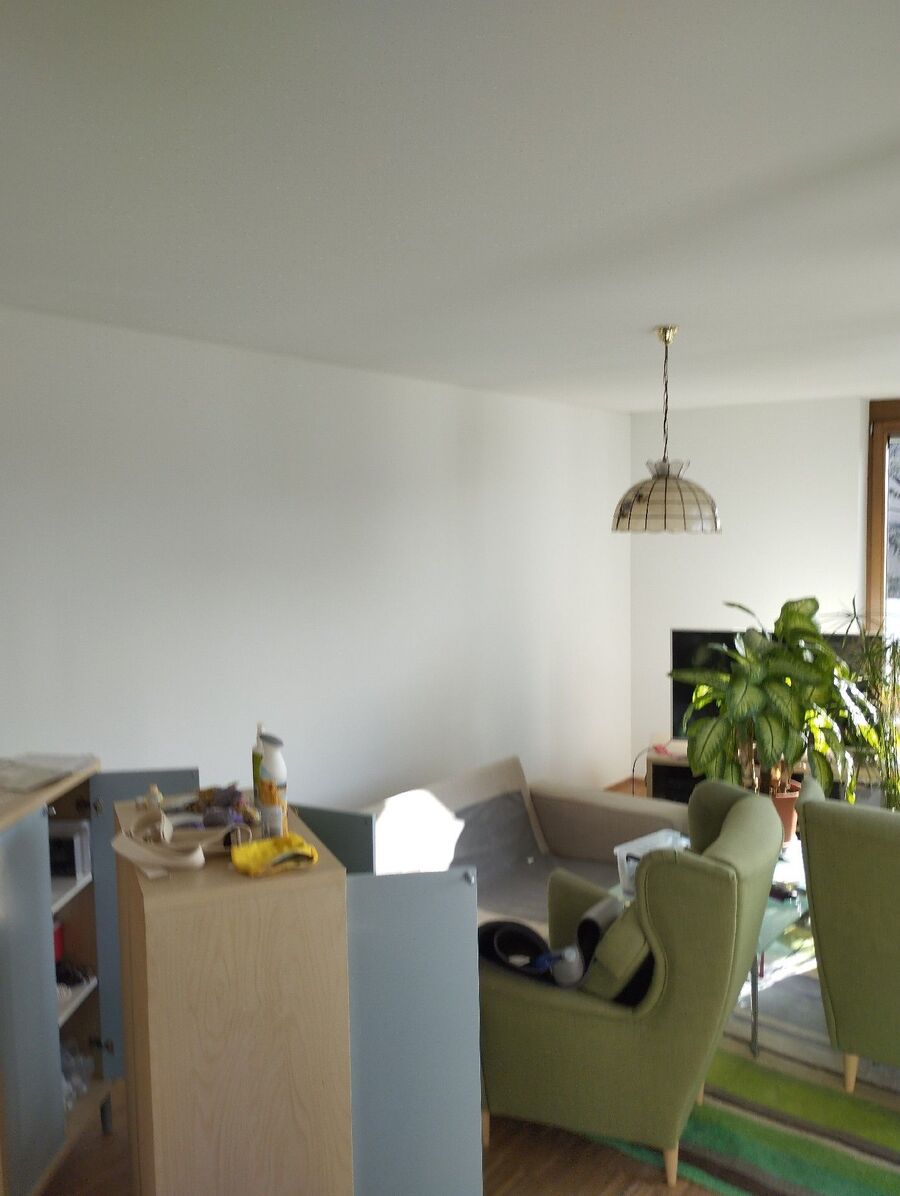 Bettwanzen-Experten-Holderbank (SO)-Bettwanzen-entfernen.jpg