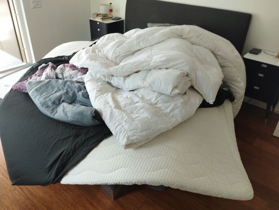 Bettwanzen-Bettwanzenstich-Bettwanzenbiss-La Tour-de-Peilz.jpg