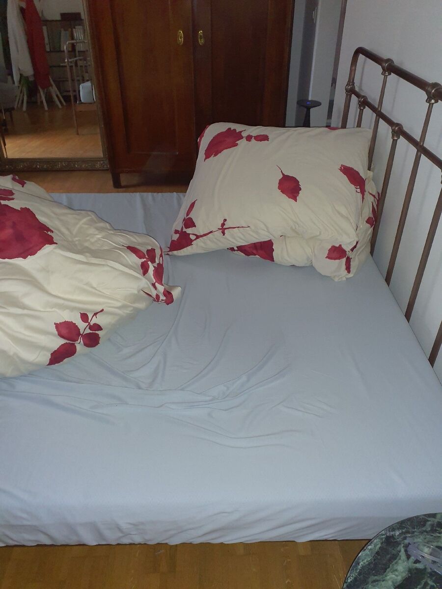 Bettwanzen-bisse-Le Lieu-haut-kind.jpg