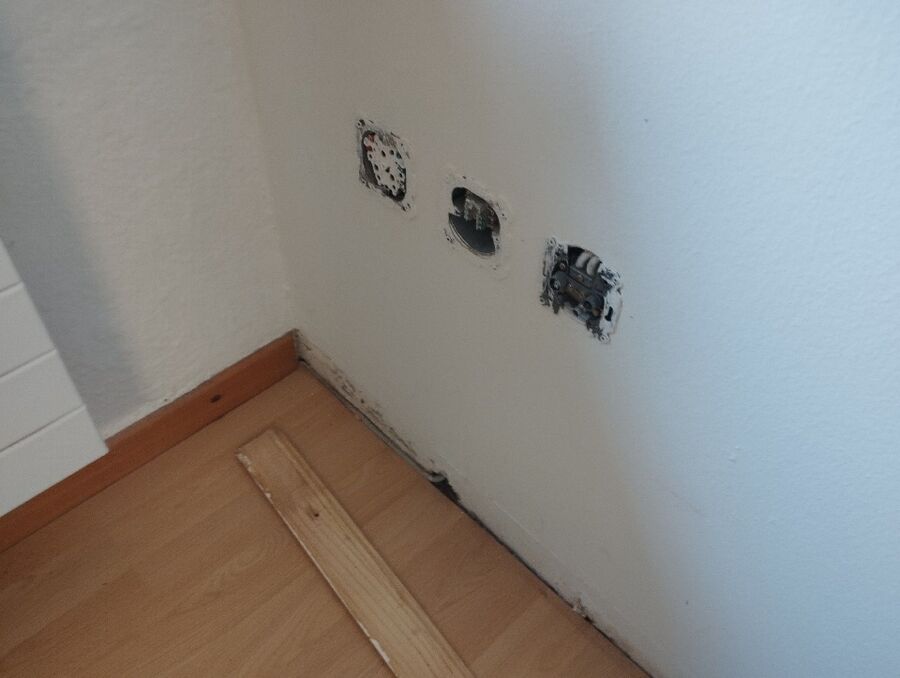 Bettwanzen-Experten-Renan (BE)-Bettwanzen-entfernen.jpg