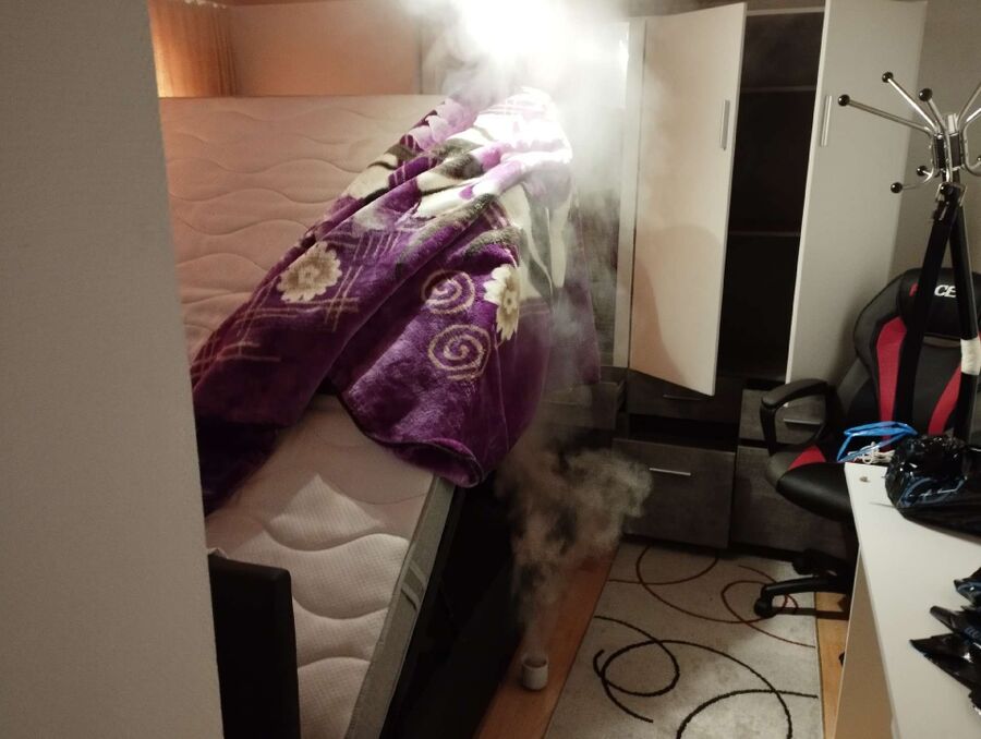 Bettwanzen-Experten-Rüti bei Büren-Bettwanzen-entfernen.jpg